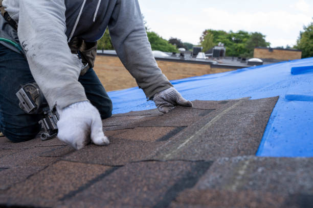 Best Metal Roofing Installation  in Eudora, AR